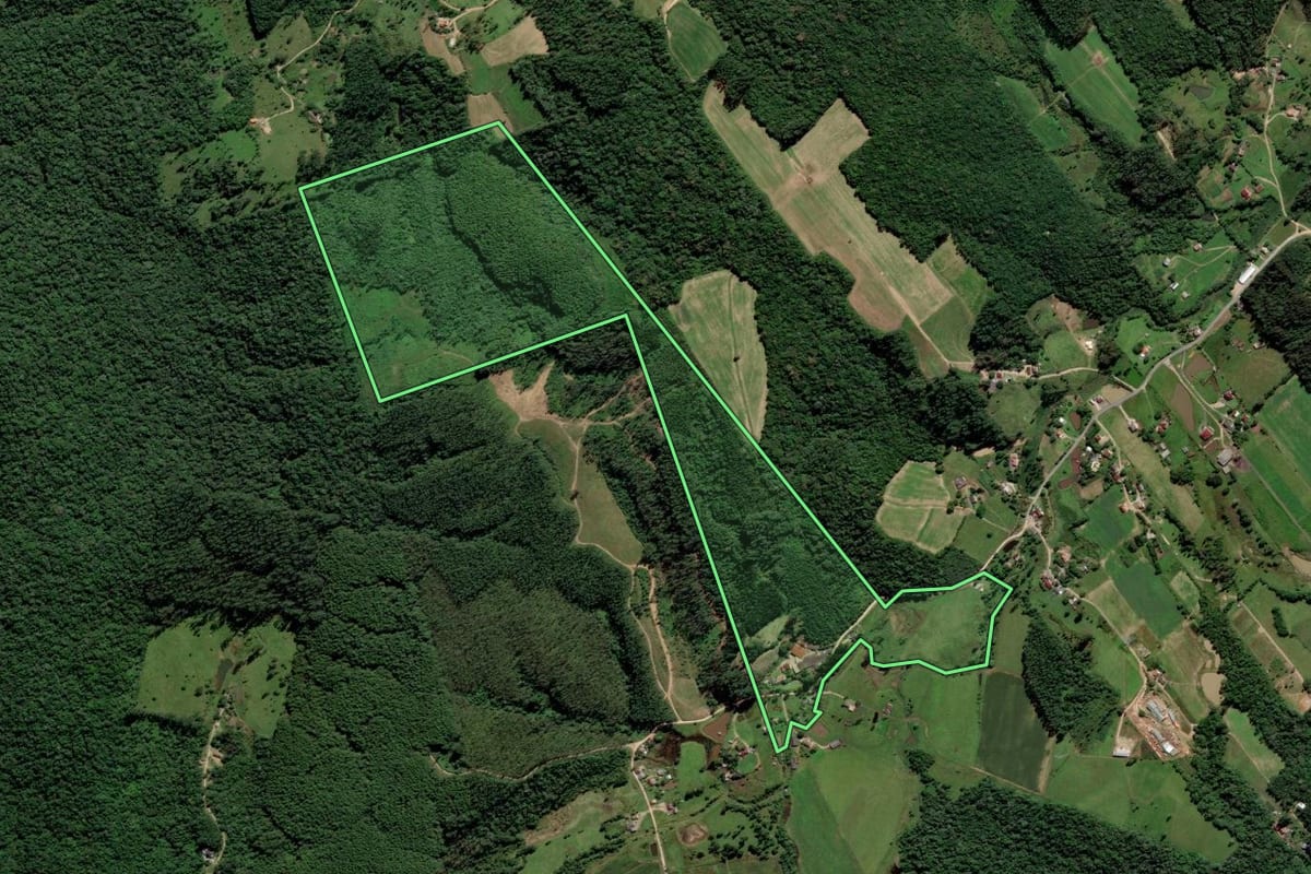 Imagem de satélite do imóvel rural em Urussanga (SC), com o contorno declarado no CAR desenhado por cima.