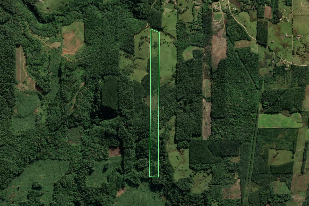 Imagem de satélite do imóvel rural em Urussanga (SC), com o contorno declarado no CAR desenhado por cima.