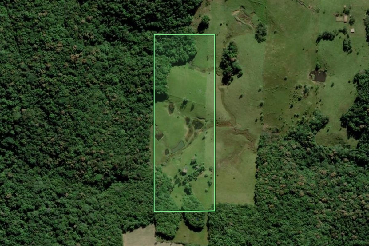 Imagem de satélite do imóvel rural em Urussanga (SC), com o contorno declarado no CAR desenhado por cima.