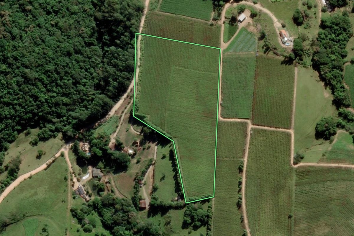 Imagem de satélite do imóvel rural em Urussanga (SC), com o contorno declarado no CAR desenhado por cima.
