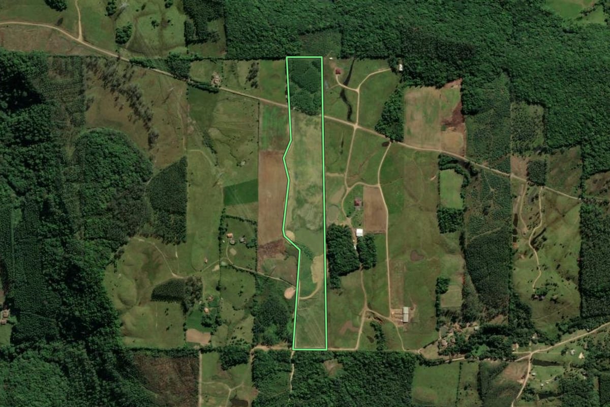 Imagem de satélite do imóvel rural em Urussanga (SC), com o contorno declarado no CAR desenhado por cima.