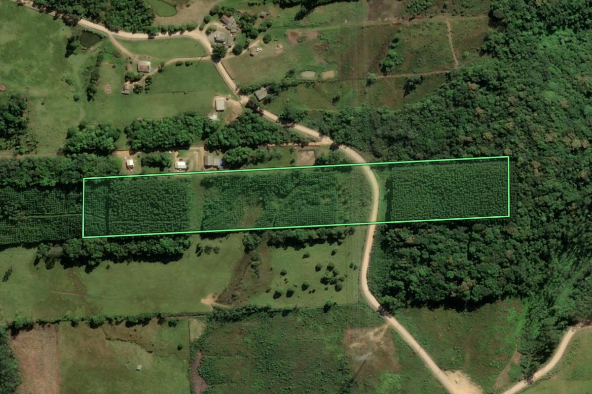 Imagem de satélite do imóvel rural em Urussanga (SC), com o contorno declarado no CAR desenhado por cima.