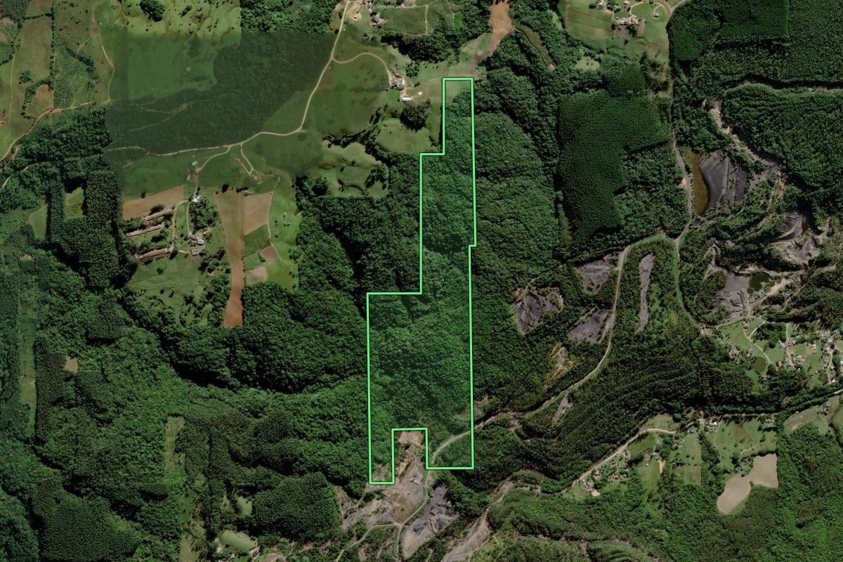 Imagem de satélite do imóvel rural em Urussanga (SC), com o contorno declarado no CAR desenhado por cima.