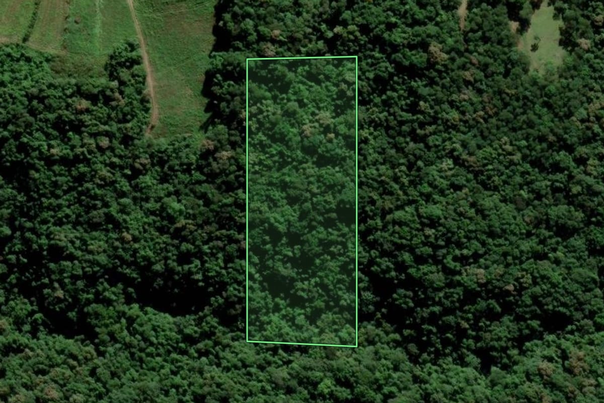 Imagem de satélite do imóvel rural em Urussanga (SC), com o contorno declarado no CAR desenhado por cima.