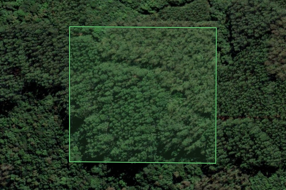 Imagem de satélite do imóvel rural em Urussanga (SC), com o contorno declarado no CAR desenhado por cima.
