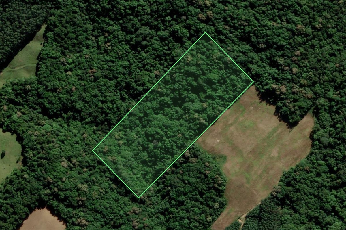 Imagem de satélite do imóvel rural em Urussanga (SC), com o contorno declarado no CAR desenhado por cima.