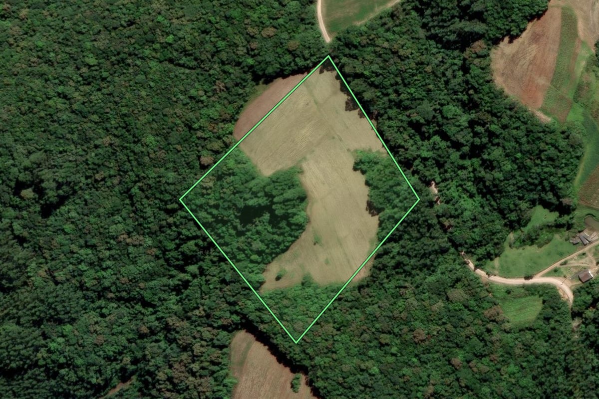 Imagem de satélite do imóvel rural em Urussanga (SC), com o contorno declarado no CAR desenhado por cima.