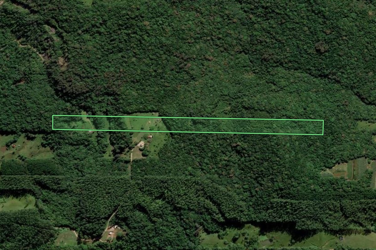Imagem de satélite do imóvel rural em Urussanga (SC), com o contorno declarado no CAR desenhado por cima.