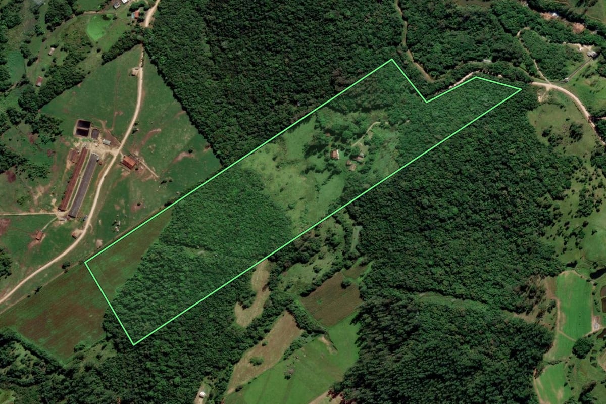 Imagem de satélite do imóvel rural em Urussanga (SC), com o contorno declarado no CAR desenhado por cima.
