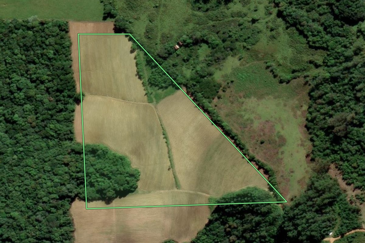 Imagem de satélite do imóvel rural em Urussanga (SC), com o contorno declarado no CAR desenhado por cima.