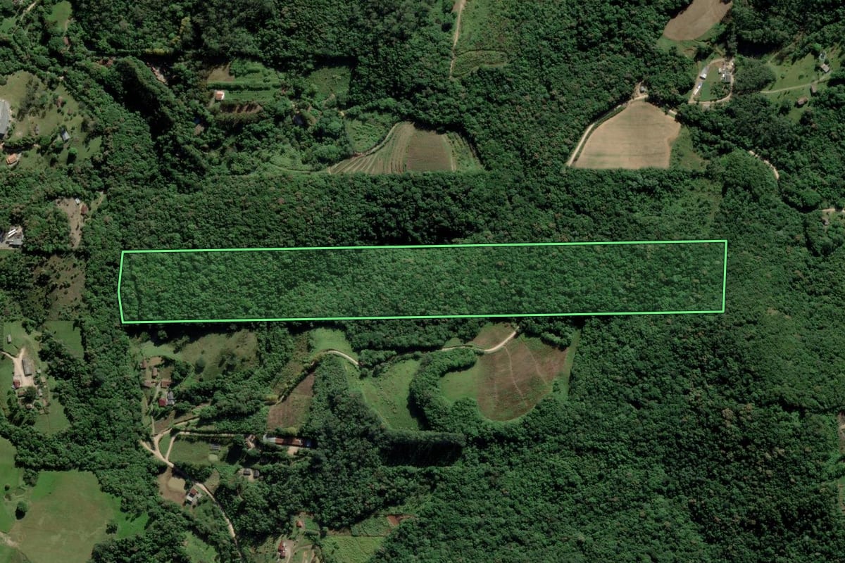 Imagem de satélite do imóvel rural em Urussanga (SC), com o contorno declarado no CAR desenhado por cima.