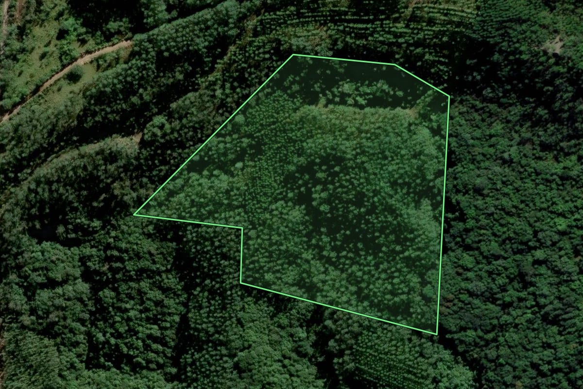 Imagem de satélite do imóvel rural em Urussanga (SC), com o contorno declarado no CAR desenhado por cima.