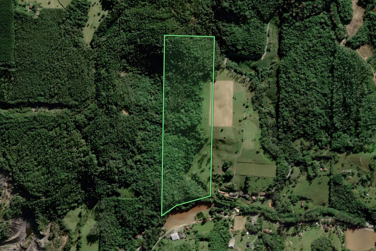 Imagem de satélite do imóvel rural em Urussanga (SC), com o contorno declarado no CAR desenhado por cima.