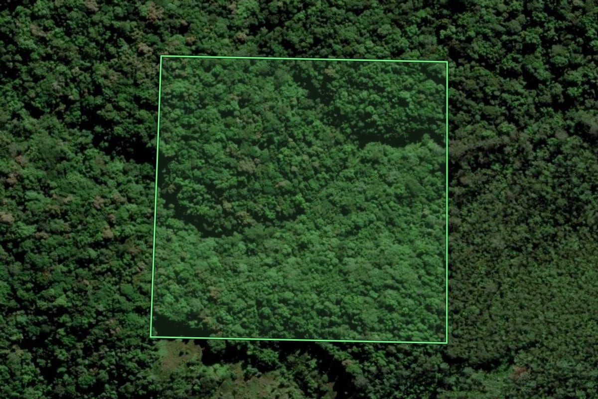 Imagem de satélite do imóvel rural em Urussanga (SC), com o contorno declarado no CAR desenhado por cima.