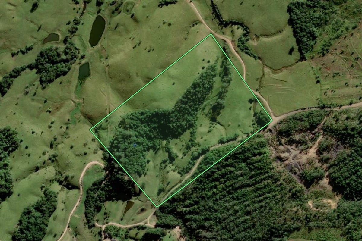 Imagem de satélite do imóvel rural em Urussanga (SC), com o contorno declarado no CAR desenhado por cima.