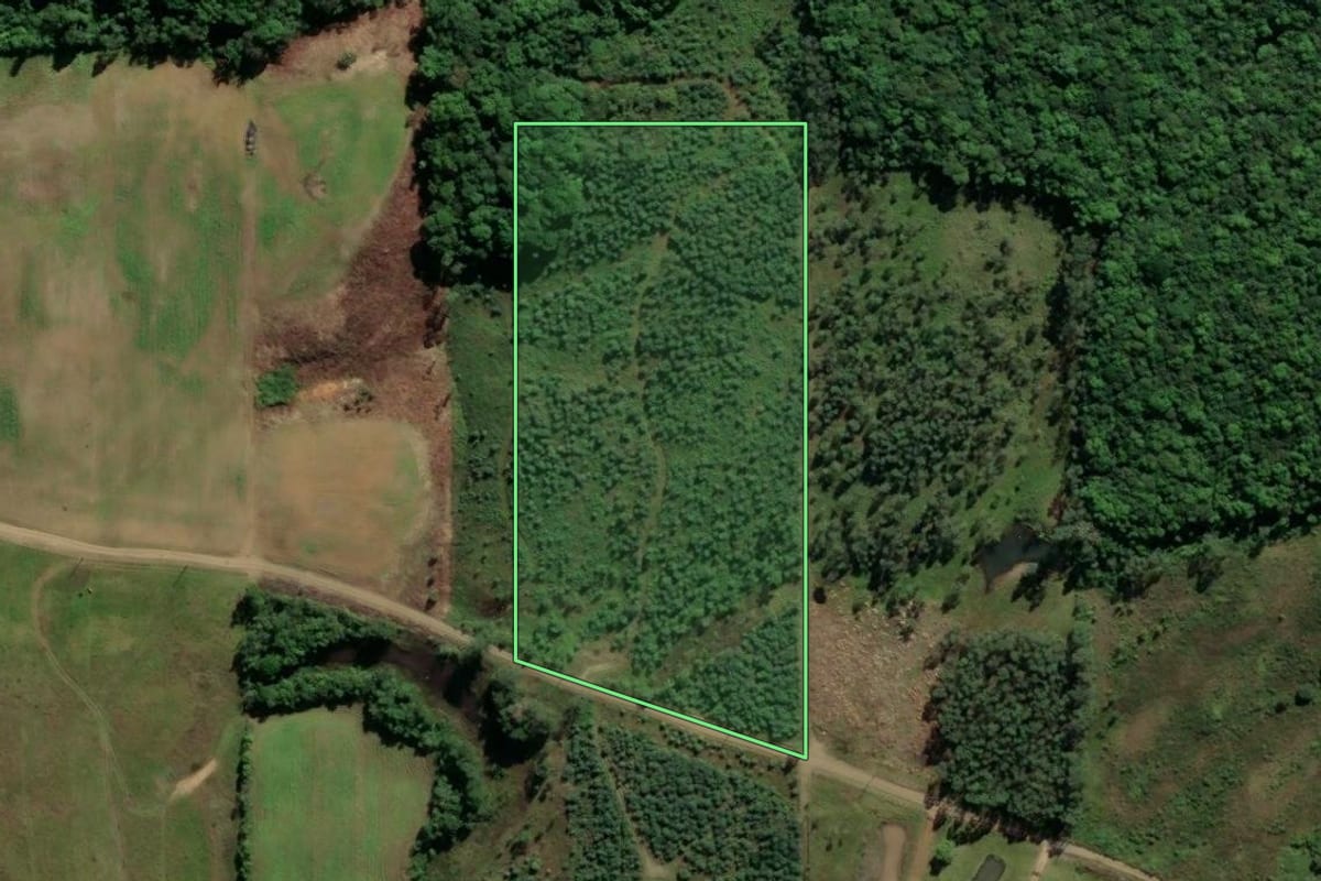 Imagem de satélite do imóvel rural em Urussanga (SC), com o contorno declarado no CAR desenhado por cima.