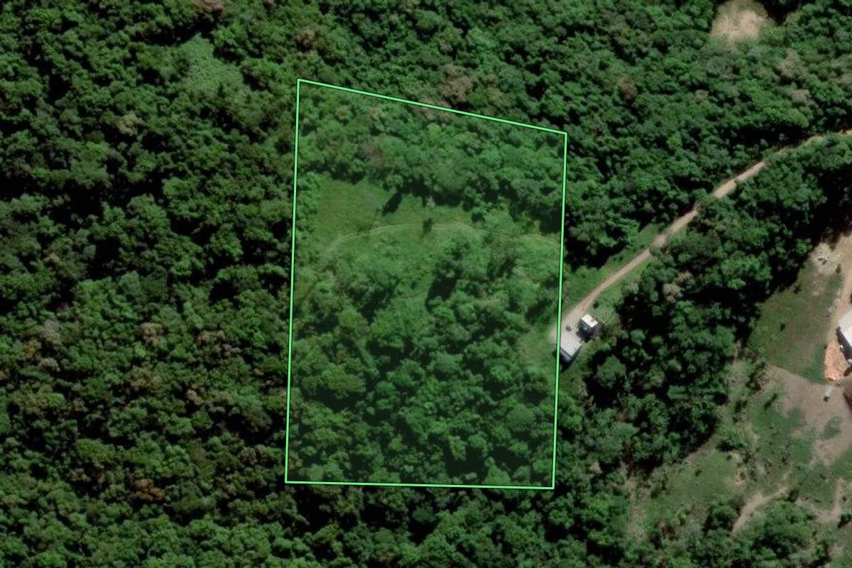 Imagem de satélite do imóvel rural em Urussanga (SC), com o contorno declarado no CAR desenhado por cima.
