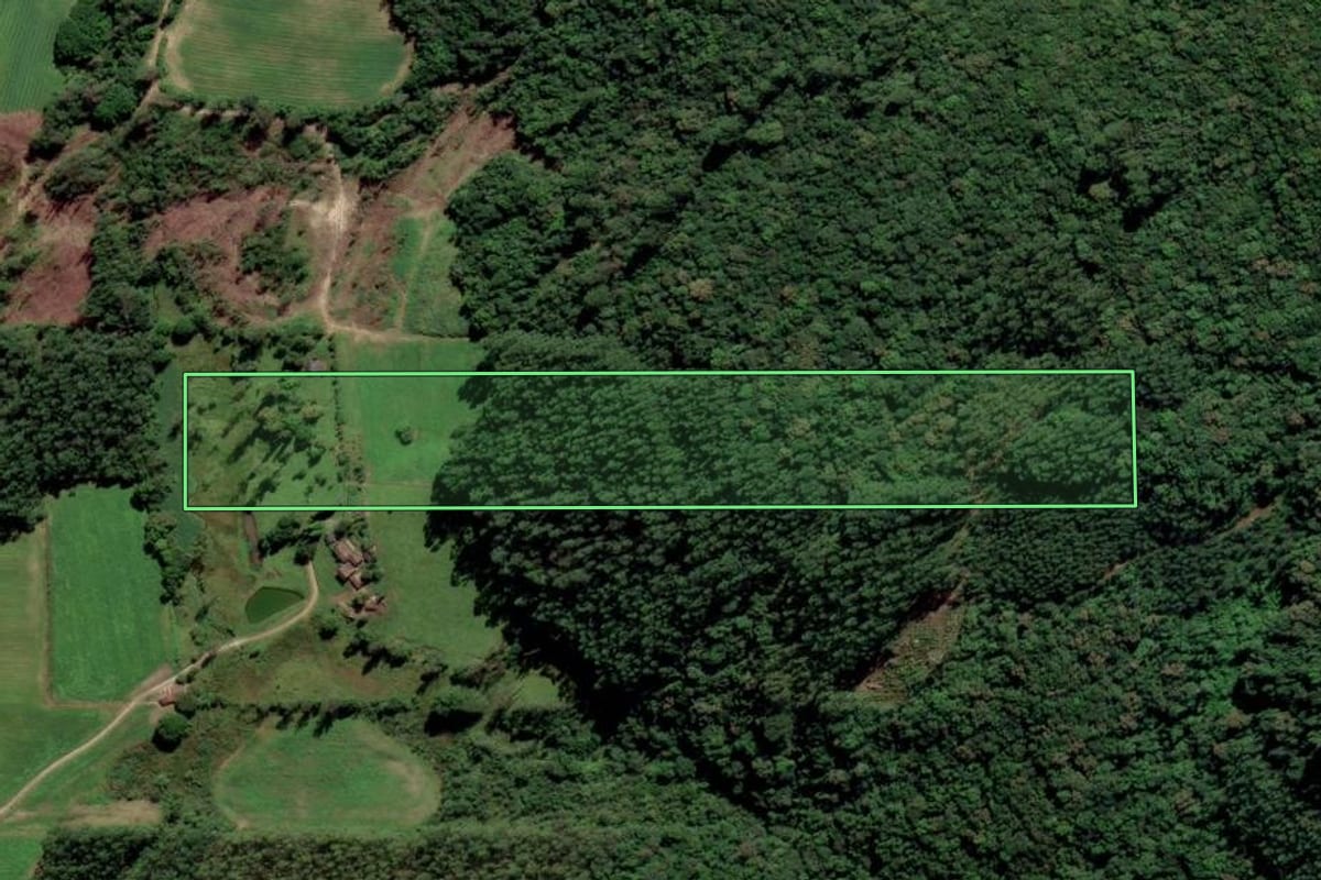 Imagem de satélite do imóvel rural em Urussanga (SC), com o contorno declarado no CAR desenhado por cima.