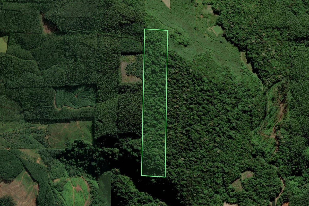 Imagem de satélite do imóvel rural em Urussanga (SC), com o contorno declarado no CAR desenhado por cima.