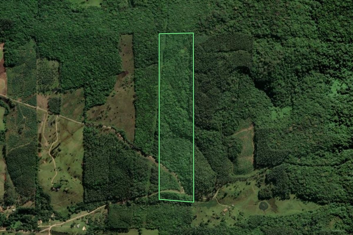 Imagem de satélite do imóvel rural em Urussanga (SC), com o contorno declarado no CAR desenhado por cima.