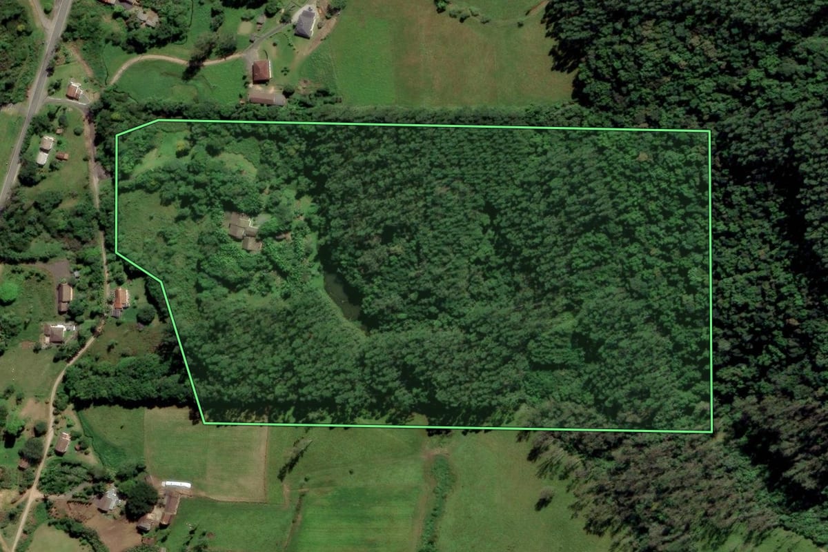 Imagem de satélite do imóvel rural em Urussanga (SC), com o contorno declarado no CAR desenhado por cima.