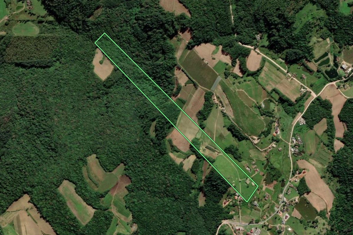 Imagem de satélite do imóvel rural em Urussanga (SC), com o contorno declarado no CAR desenhado por cima.