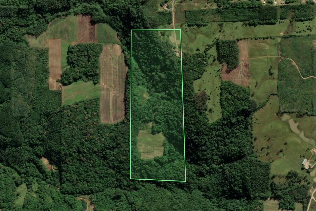 Imagem de satélite do imóvel rural em Urussanga (SC), com o contorno declarado no CAR desenhado por cima.