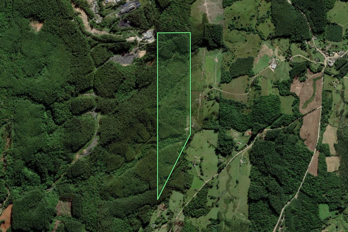 Imagem de satélite do imóvel rural em Urussanga (SC), com o contorno declarado no CAR desenhado por cima.