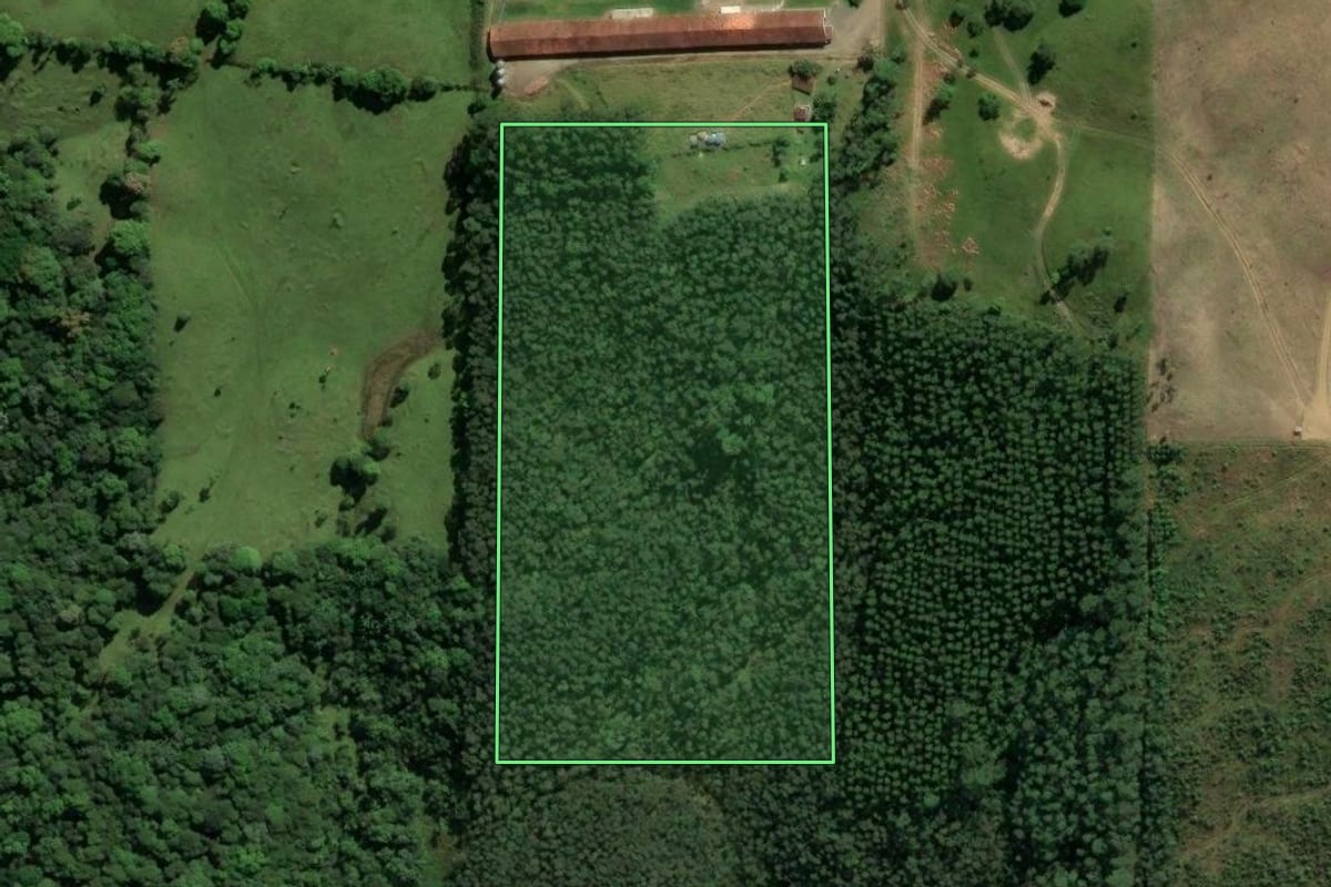 Imagem de satélite do imóvel rural em Urussanga (SC), com o contorno declarado no CAR desenhado por cima.