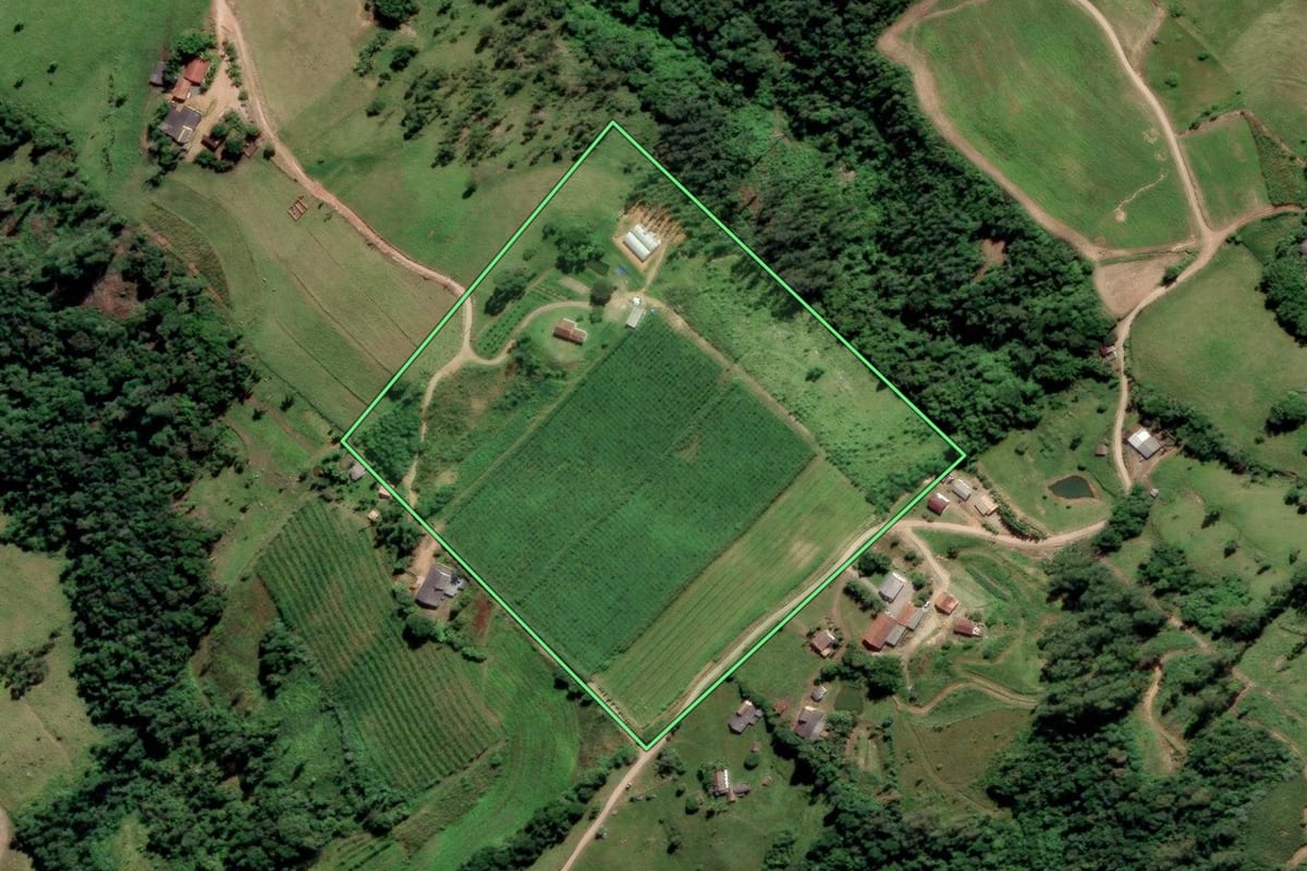 Imagem de satélite do imóvel rural em Urussanga (SC), com o contorno declarado no CAR desenhado por cima.