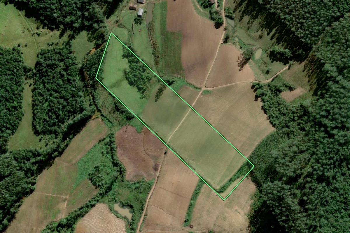 Imagem de satélite do imóvel rural em Urussanga (SC), com o contorno declarado no CAR desenhado por cima.
