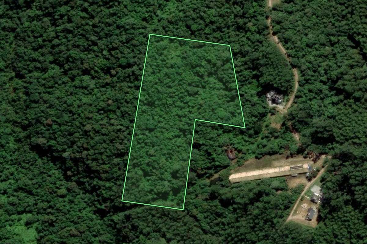 Imagem de satélite do imóvel rural em Urussanga (SC), com o contorno declarado no CAR desenhado por cima.
