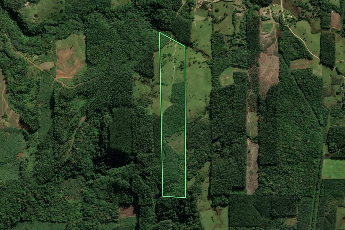 Imagem de satélite do imóvel rural em Urussanga (SC), com o contorno declarado no CAR desenhado por cima.