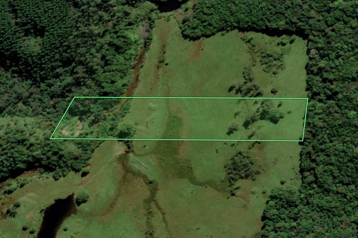 Imagem de satélite do imóvel rural em Urussanga (SC), com o contorno declarado no CAR desenhado por cima.