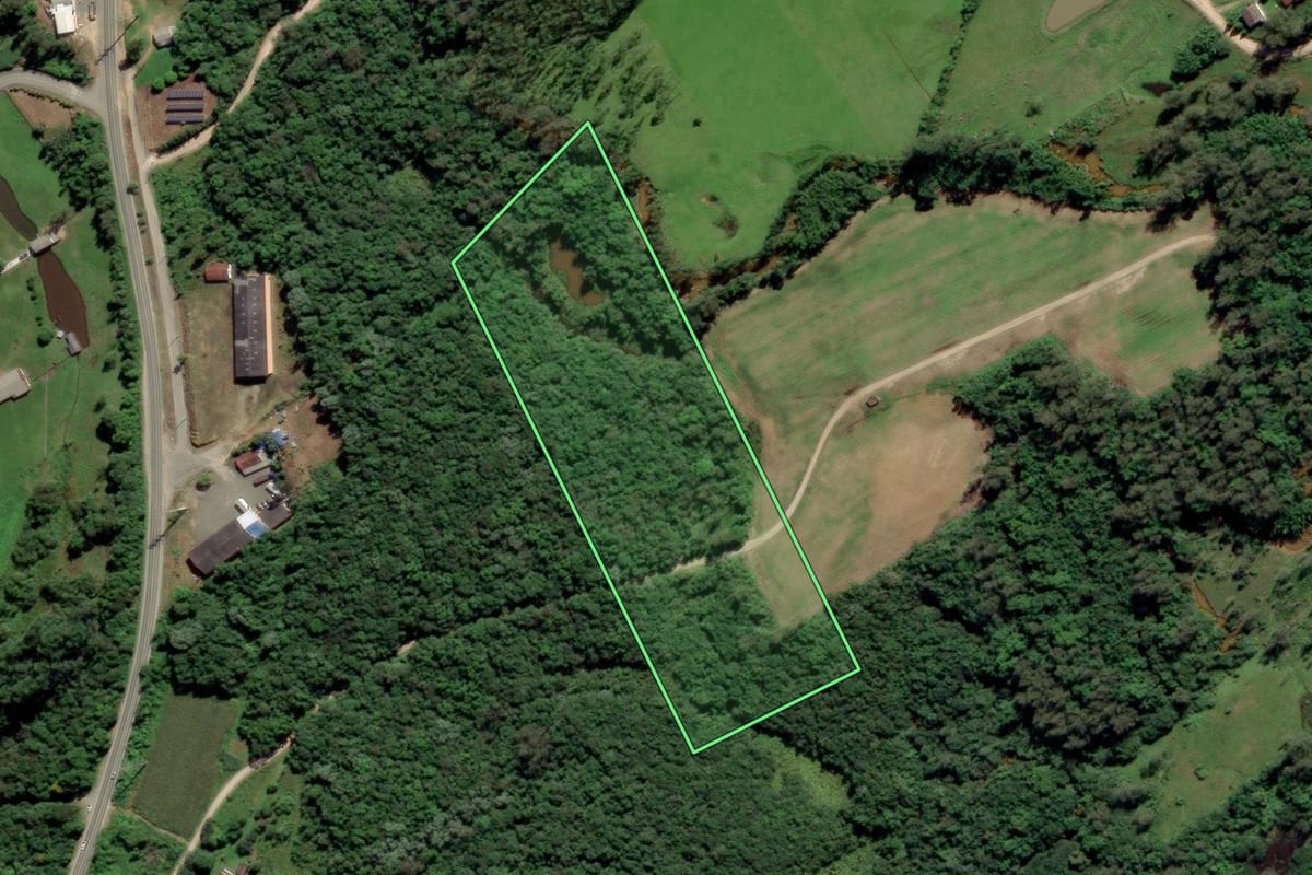Imagem de satélite do imóvel rural em Urussanga (SC), com o contorno declarado no CAR desenhado por cima.