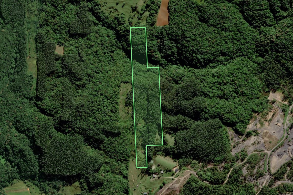 Imagem de satélite do imóvel rural em Urussanga (SC), com o contorno declarado no CAR desenhado por cima.