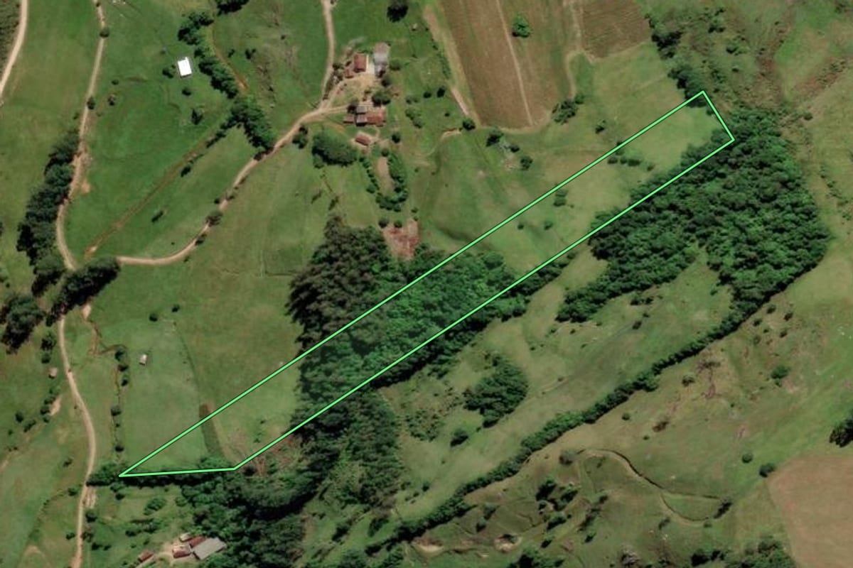 Imagem de satélite do imóvel rural em Urussanga (SC), com o contorno declarado no CAR desenhado por cima.