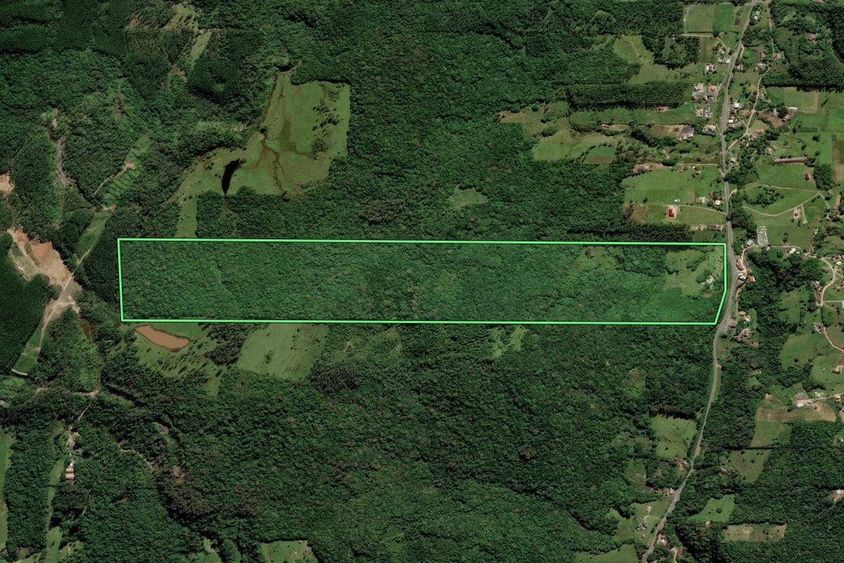 Imagem de satélite do imóvel rural em Urussanga (SC), com o contorno declarado no CAR desenhado por cima.