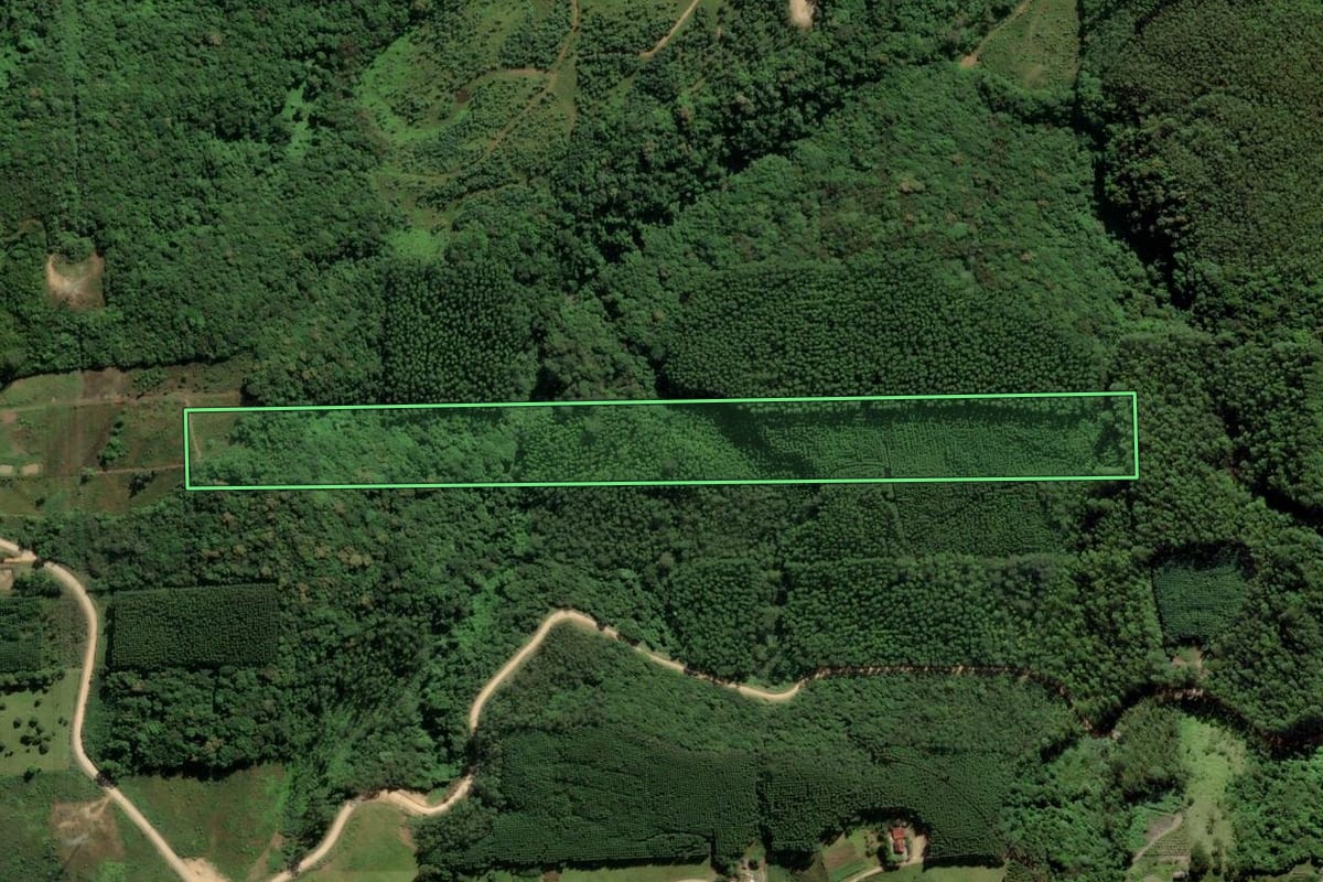 Imagem de satélite do imóvel rural em Urussanga (SC), com o contorno declarado no CAR desenhado por cima.