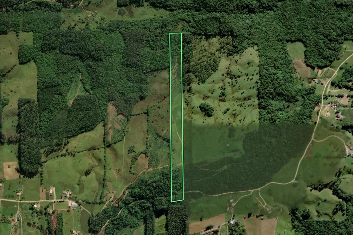 Imagem de satélite do imóvel rural em Urussanga (SC), com o contorno declarado no CAR desenhado por cima.