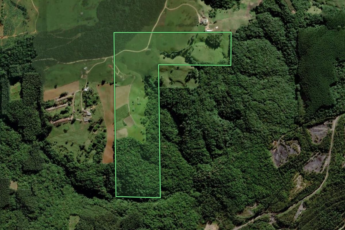 Imagem de satélite do imóvel rural em Urussanga (SC), com o contorno declarado no CAR desenhado por cima.