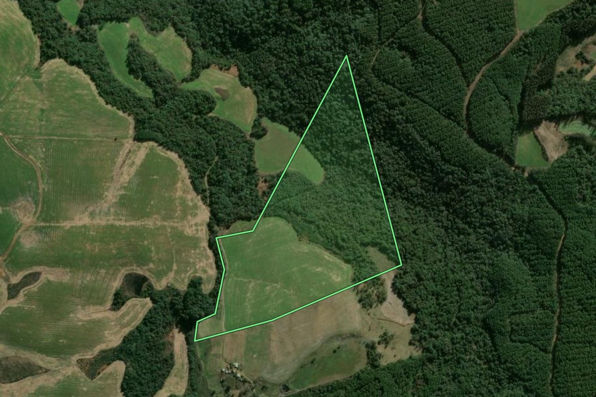 Imagem de satélite do imóvel rural em Vargeão (SC), com o contorno declarado no CAR desenhado por cima.