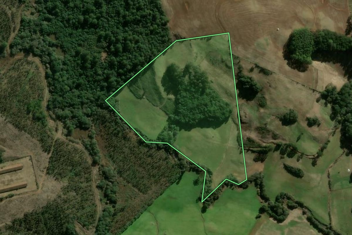 Imagem de satélite do imóvel rural em Vargeão (SC), com o contorno declarado no CAR desenhado por cima.