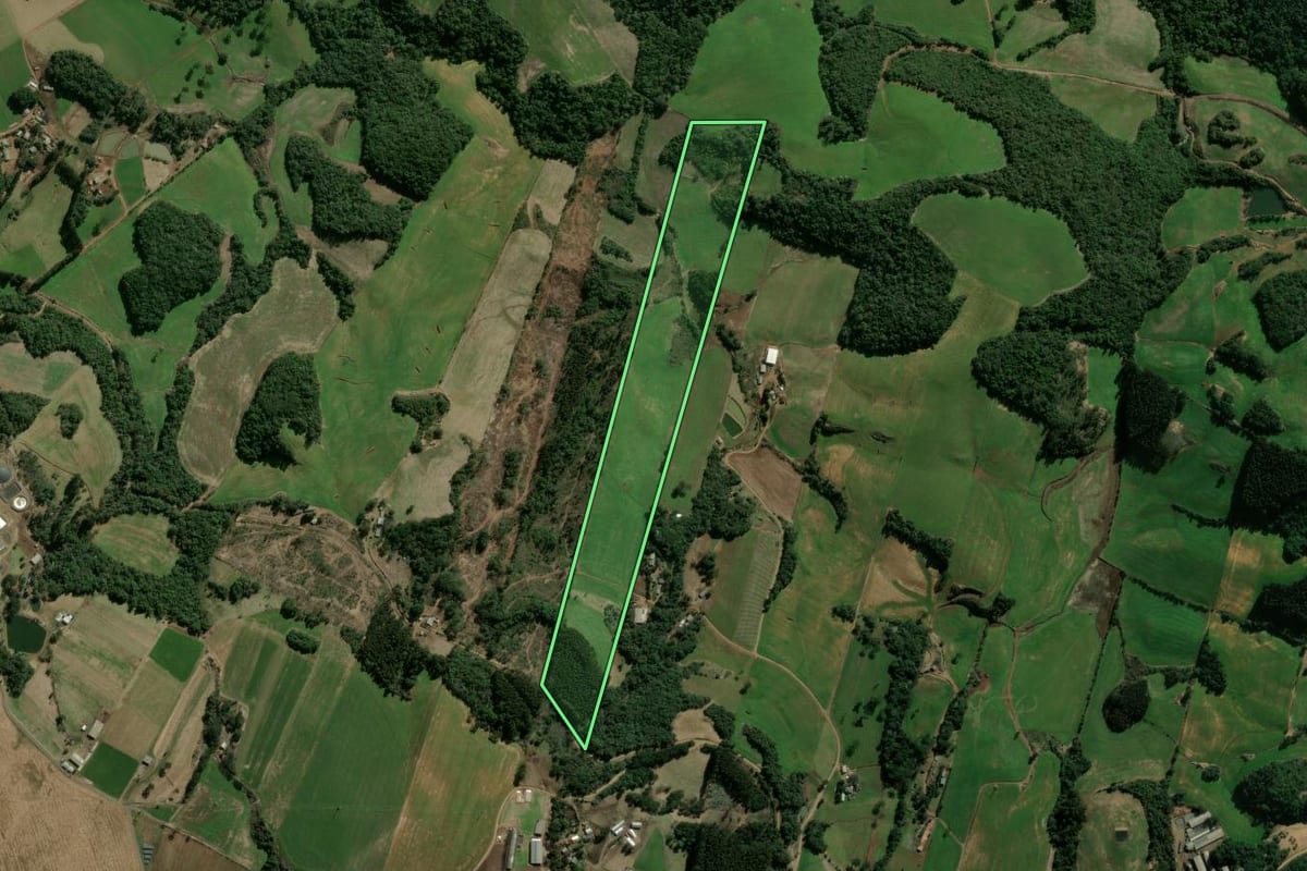 Imagem de satélite do imóvel rural em Vargeão (SC), com o contorno declarado no CAR desenhado por cima.