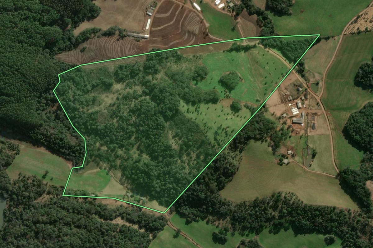 Imagem de satélite do imóvel rural em Vargeão (SC), com o contorno declarado no CAR desenhado por cima.