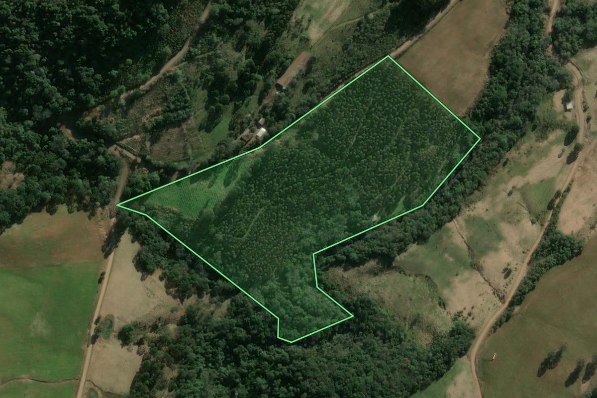 Imagem de satélite do imóvel rural em Vargeão (SC), com o contorno declarado no CAR desenhado por cima.