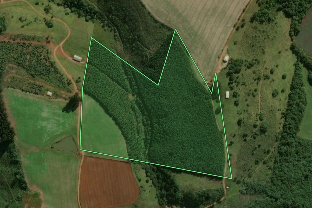 Imagem de satélite do imóvel rural em Vargeão (SC), com o contorno declarado no CAR desenhado por cima.