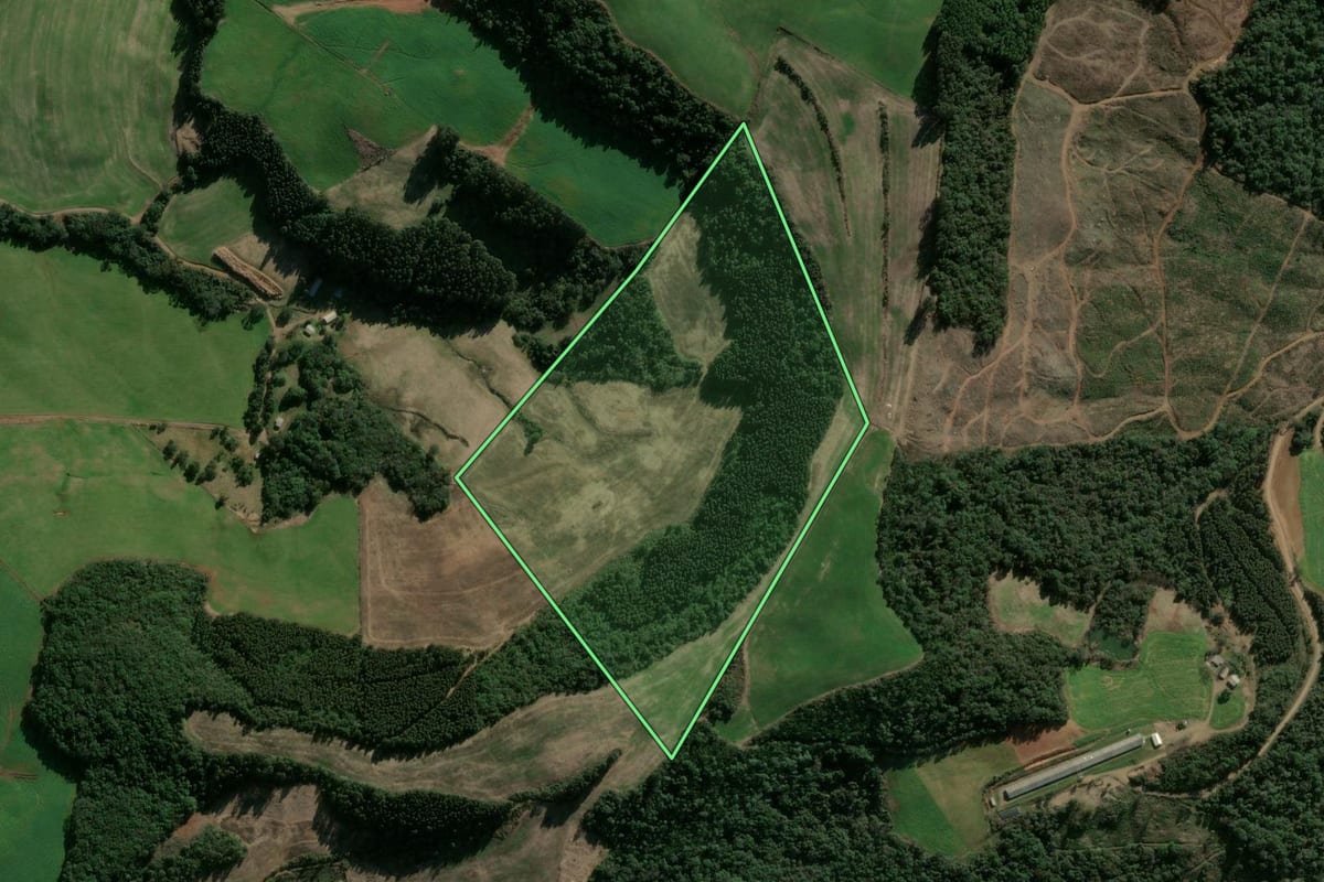 Imagem de satélite do imóvel rural em Vargeão (SC), com o contorno declarado no CAR desenhado por cima.