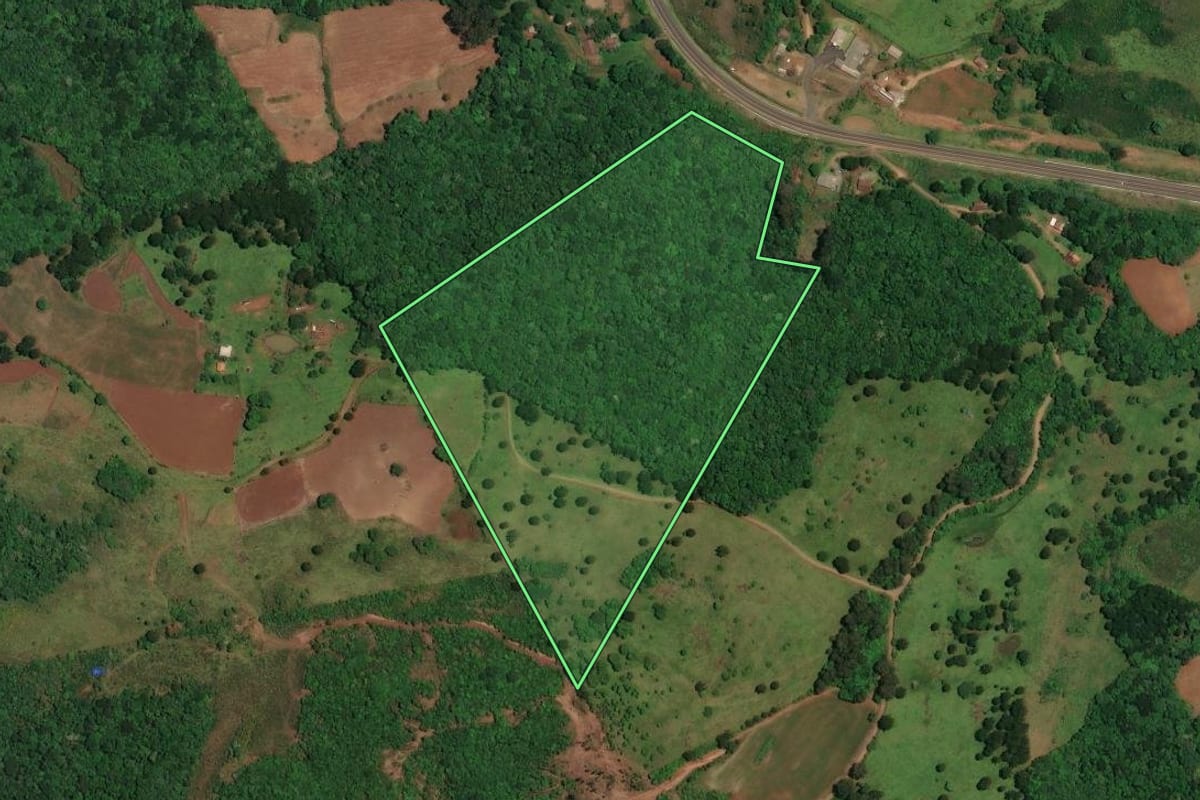Imagem de satélite do imóvel rural em Vargem (SC), com o contorno declarado no CAR desenhado por cima.
