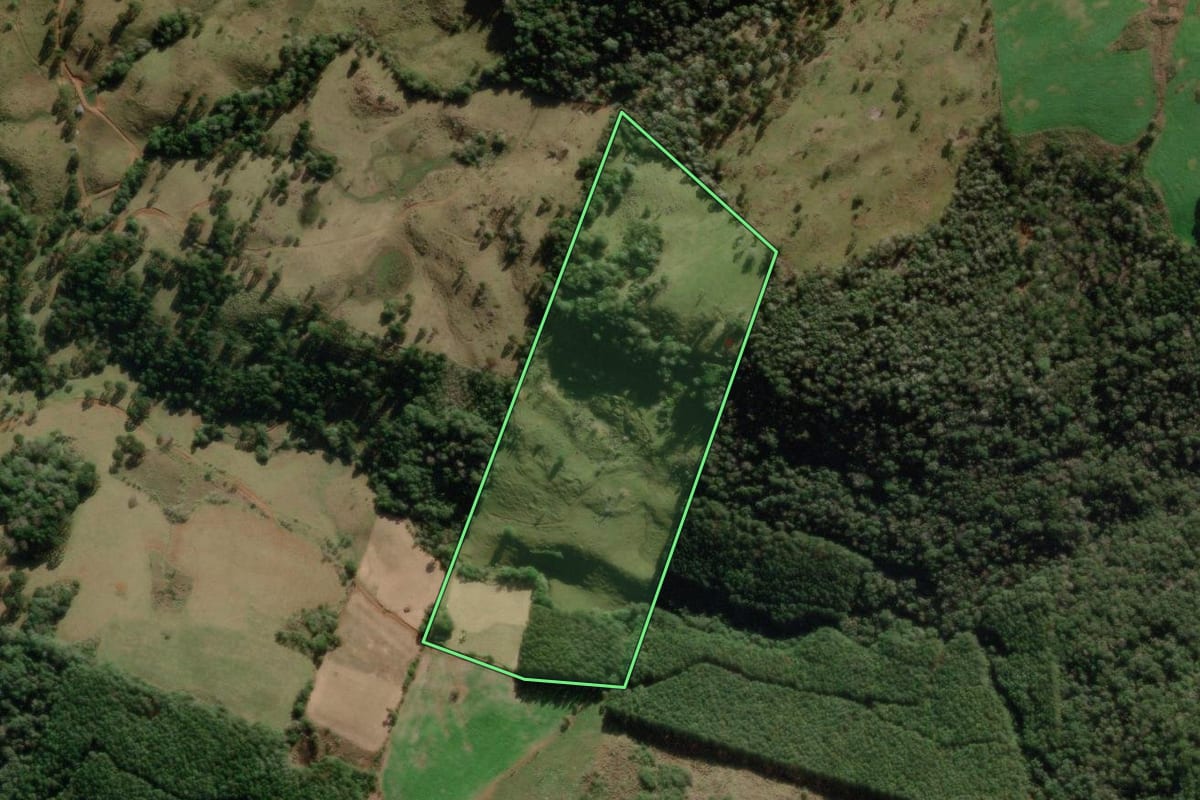 Imagem de satélite do imóvel rural em Vargem (SC), com o contorno declarado no CAR desenhado por cima.